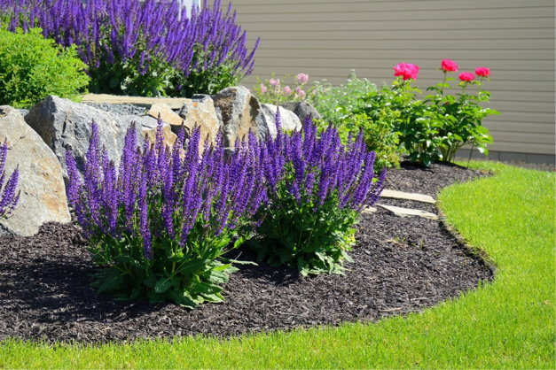 mulch