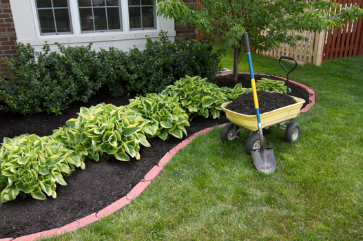 reasons-landscape-mulch