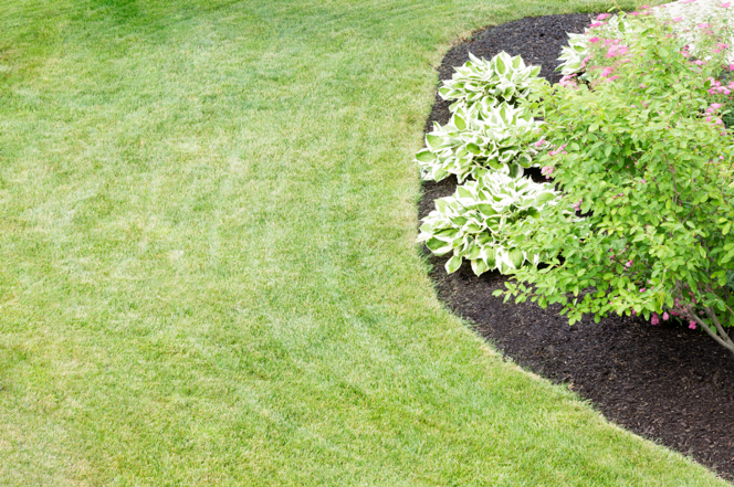 yard-mulch-benefits