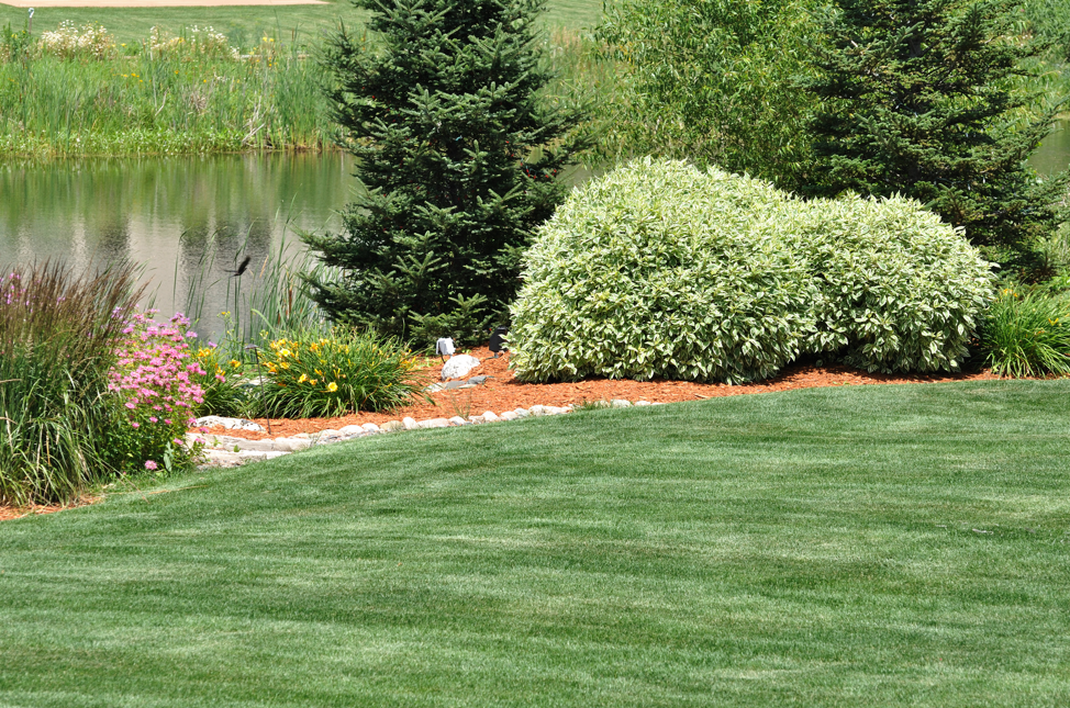 landscaping-mulch