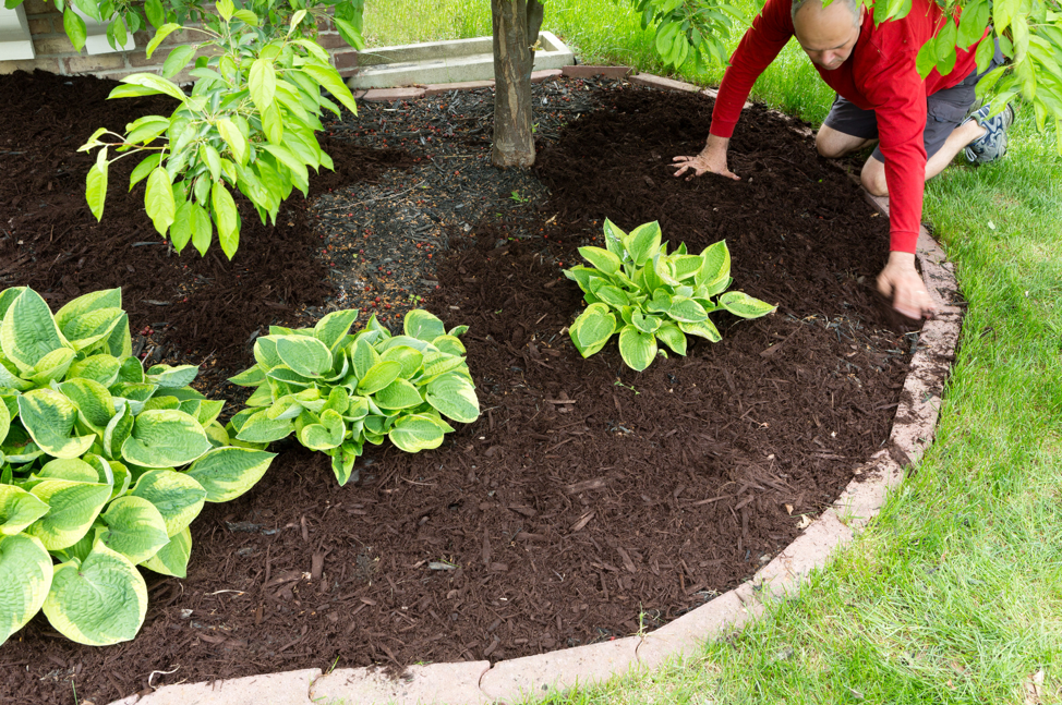 spreading-mulch-yard